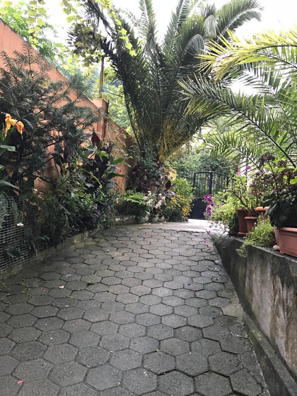 Temo'S Guesthouse Sarpi Exterior photo